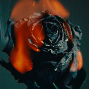 日木女性与动交zoz0z
