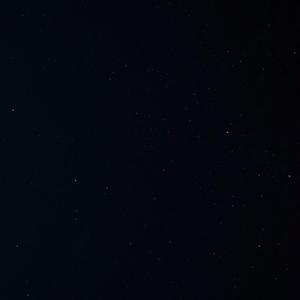 日木女性与动交zoz0z
