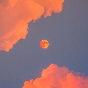 日木女性与动交zoz0z
