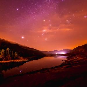 日木女性与动交zoz0z
